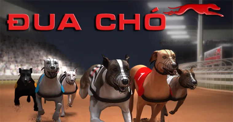 Hướng Dẫn Cách Chơi Game Nhanh Đua Chó Iwinclub Chi Tiết Dễ Hiểu